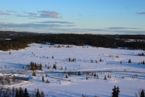 Гостиница Gamlestølen Fjellstue  Этнедал